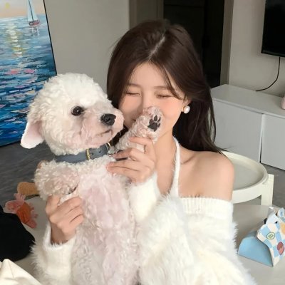 阿莱蒂公主封面