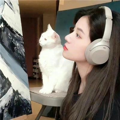 我们的翻译官封面
